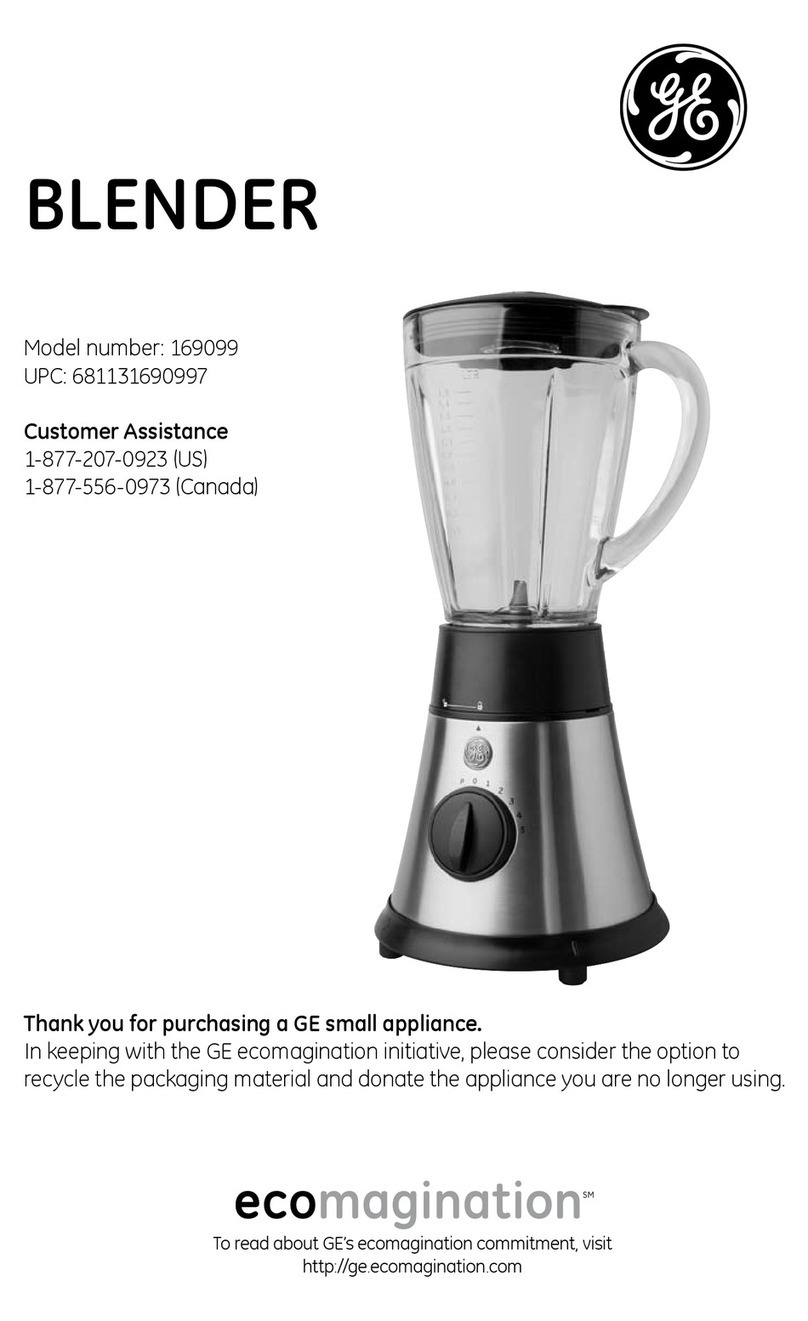 GE 169099 User manual