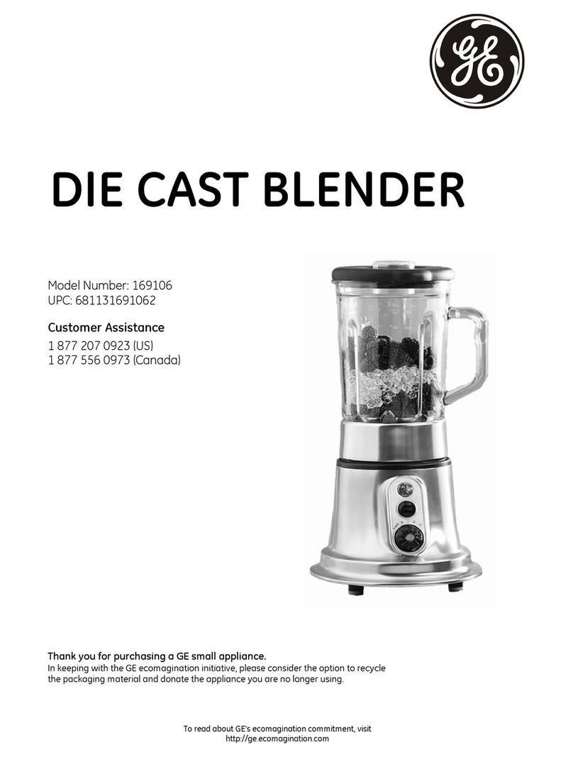 GE 169106 User manual