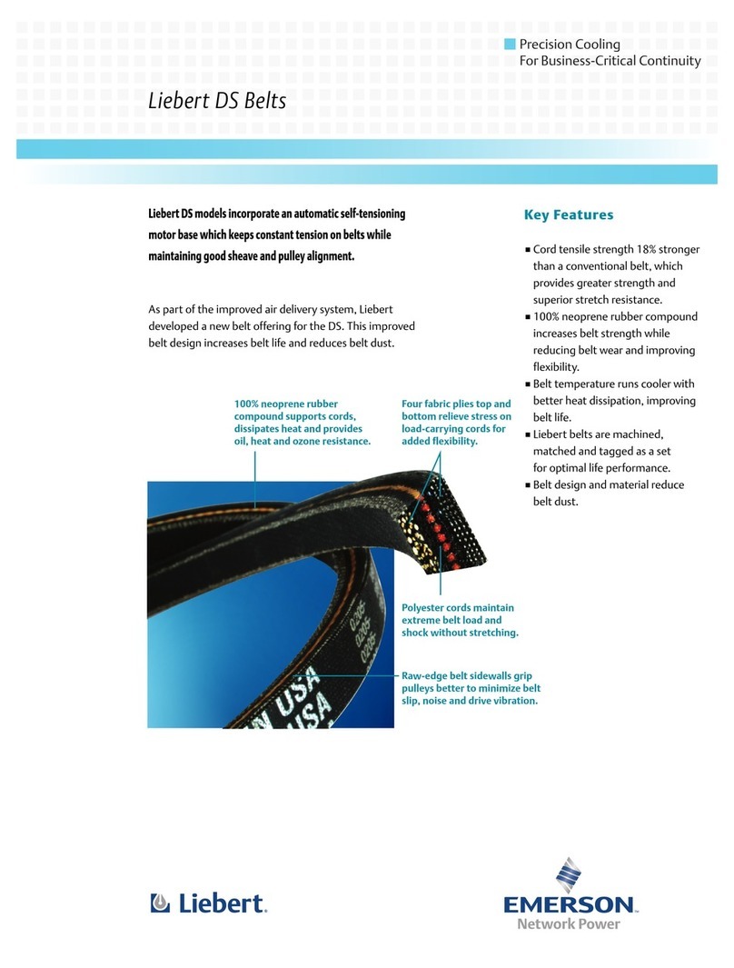 Liebert Liebert DS Belts brochure