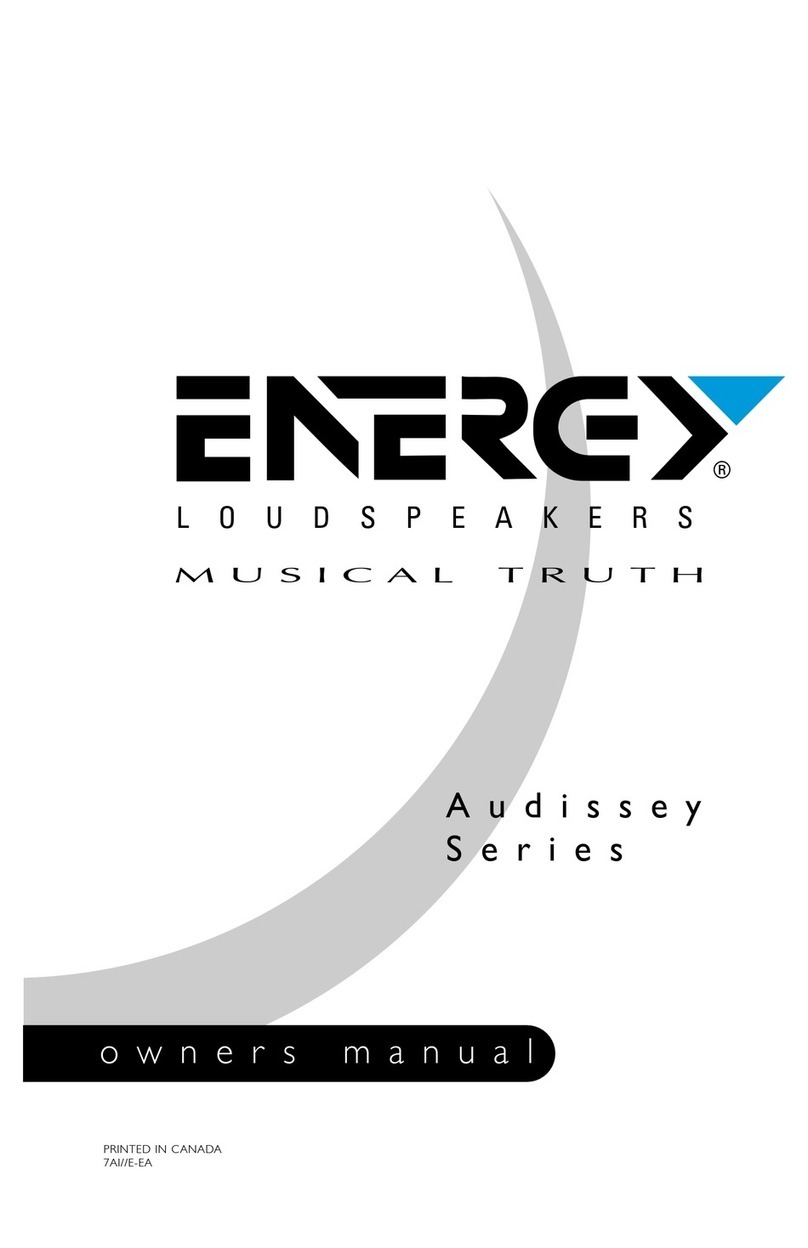 Energy Audissey Series owner's manual