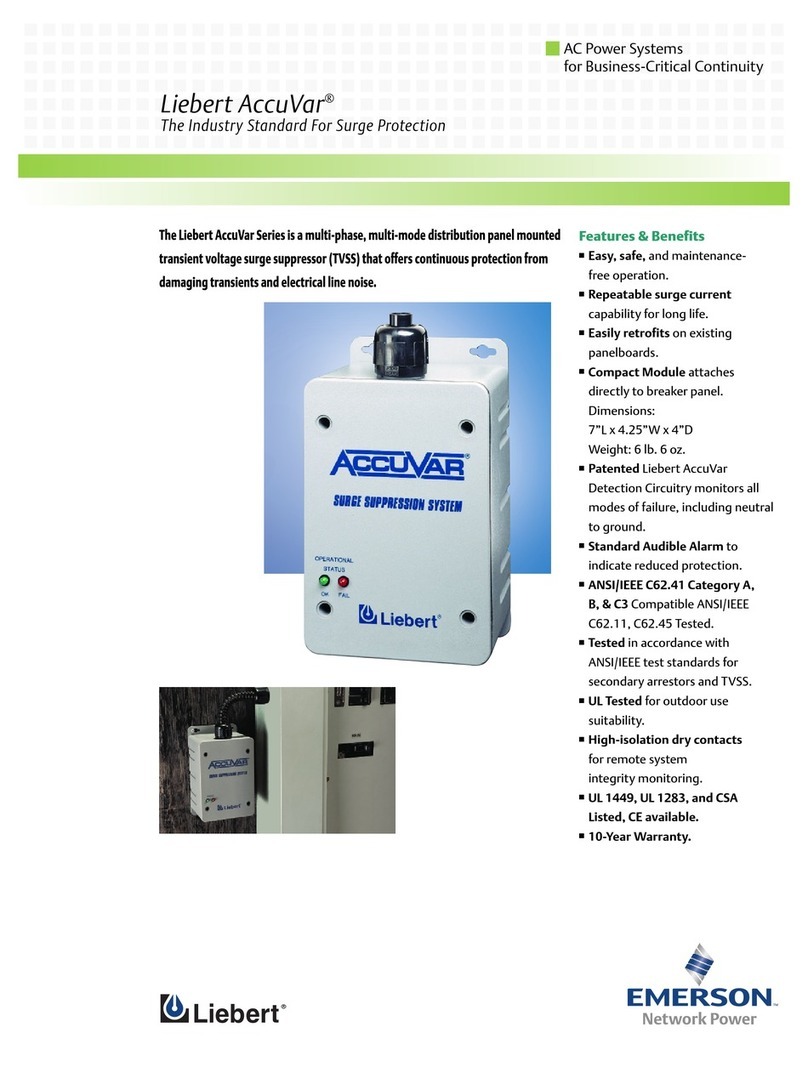 Emerson AccuVar NEMA 4X User manual Emerson AccuVar NEMA 4X User manual