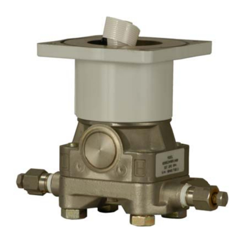 Emerson DVS205 User manual