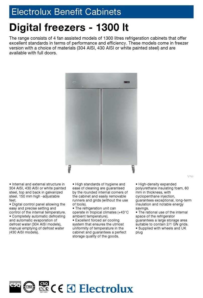 Electrolux 304 AISI User manual