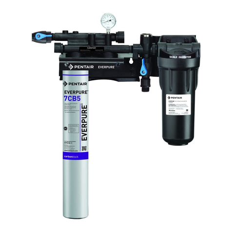 Everpure Kleensteam II Single System EV9797-21 Specification sheet