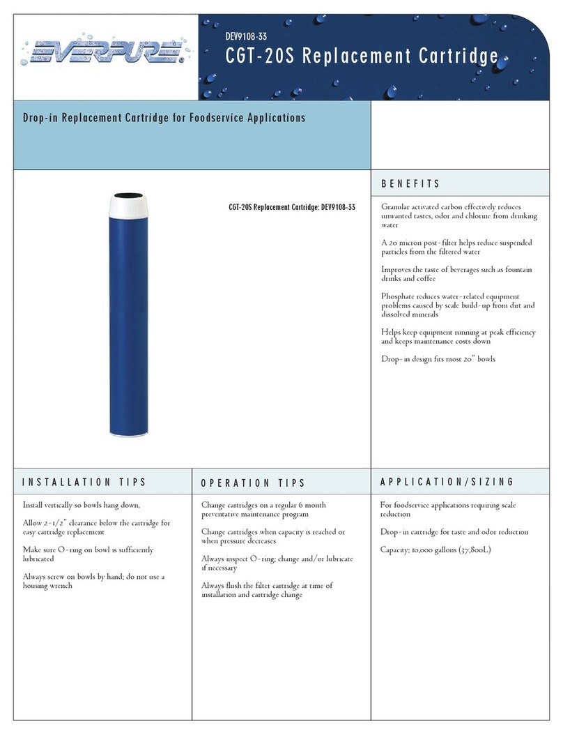 Everpure CGT-20S User manual