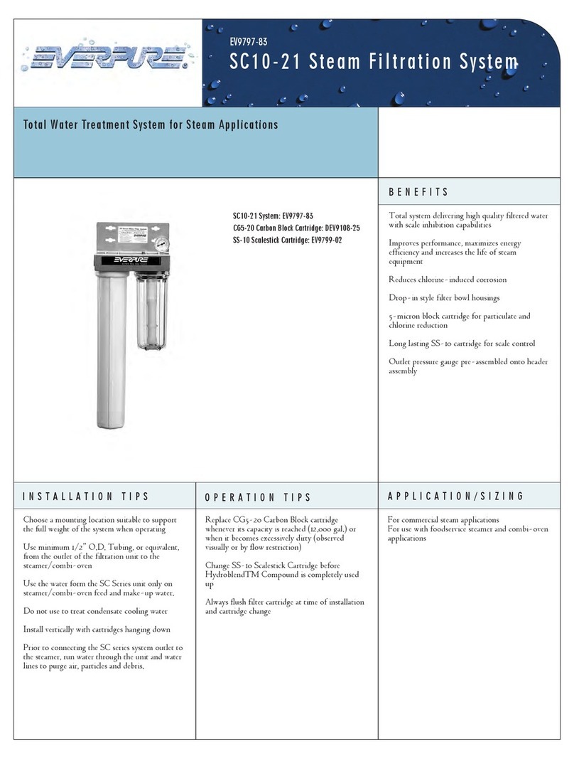 Everpure Steam Filtration System DEV9108-25 Specification sheet