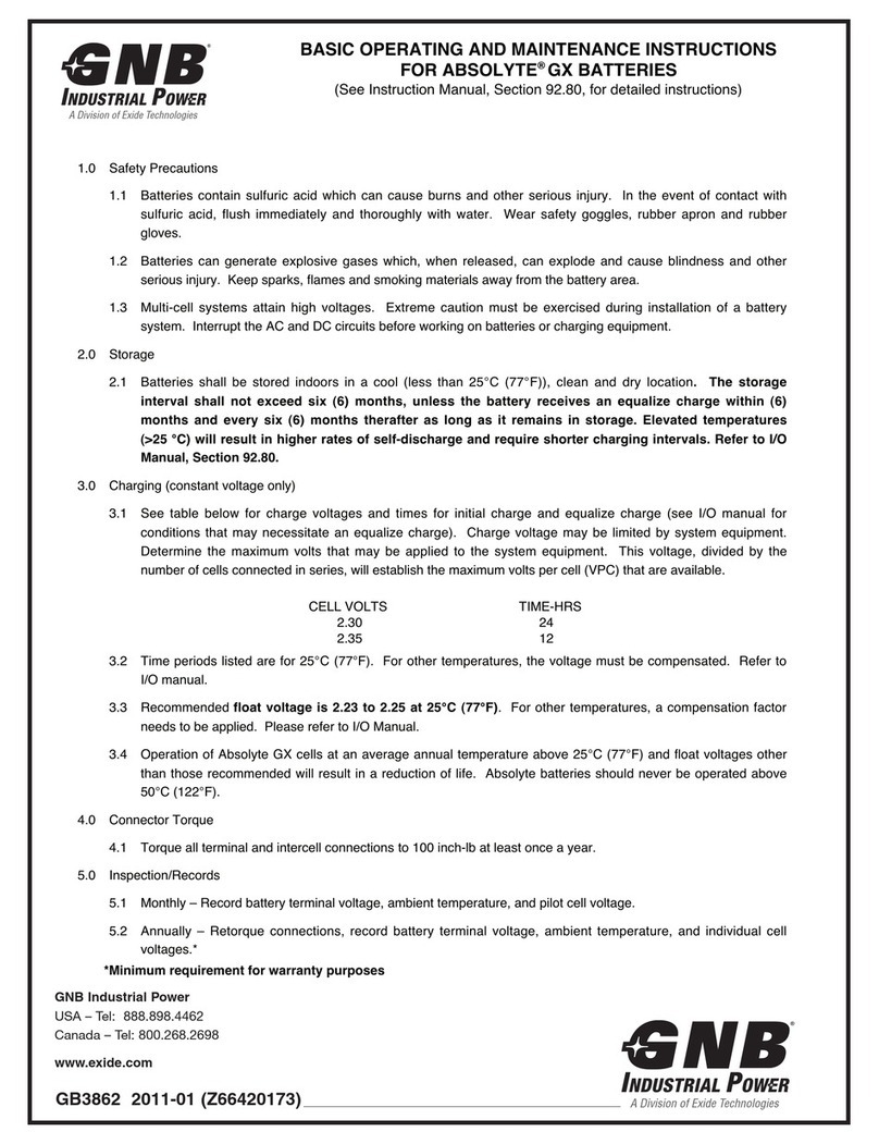 GNB GB3862 Manual