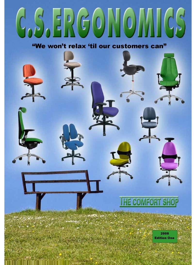 Fellowes C.S. Ergonomics RH 300 brochure