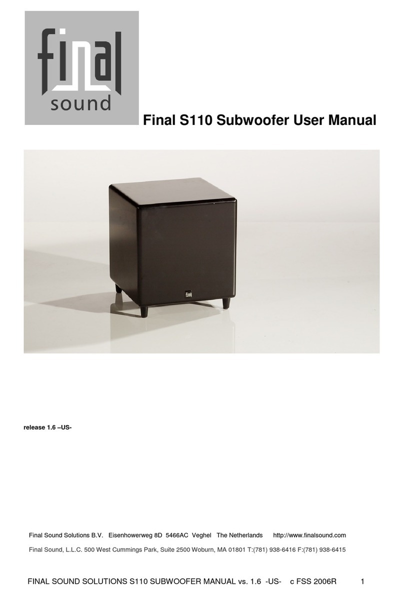 Final Sound S110 user manual