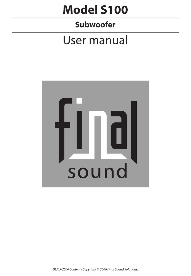 Final Sound S100 User manual