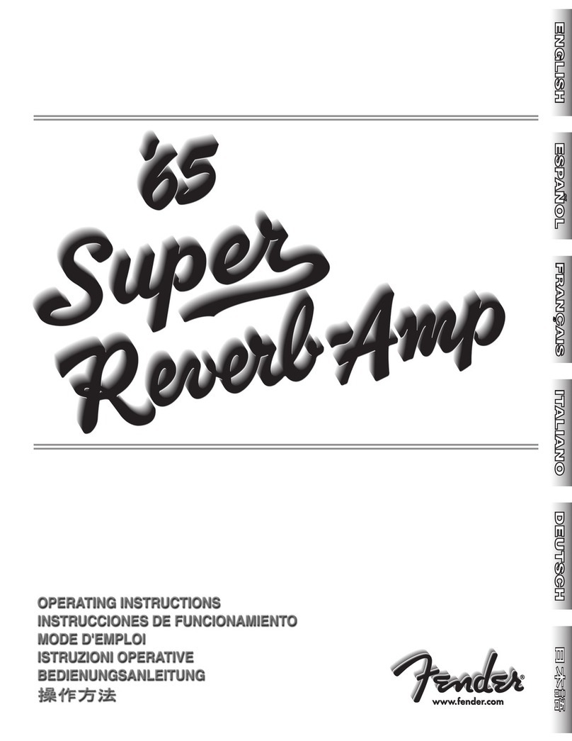 Fender 65 Princeton Reverb User manual