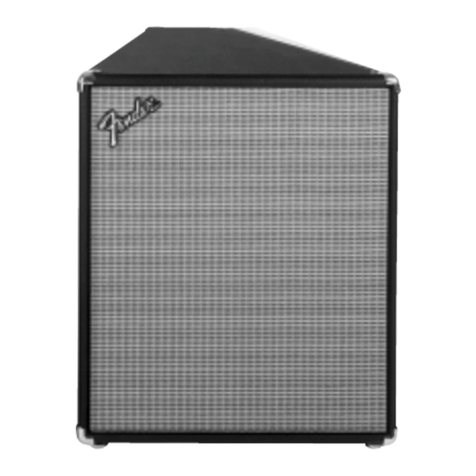 Fender XP 110 User manual