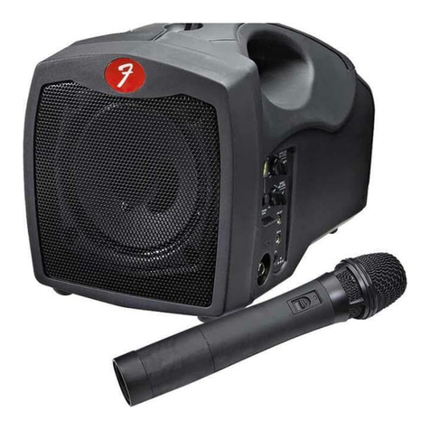 Fender PASSPORT P-10W user guide