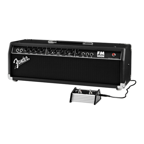 Fender Stage 100H User manual
