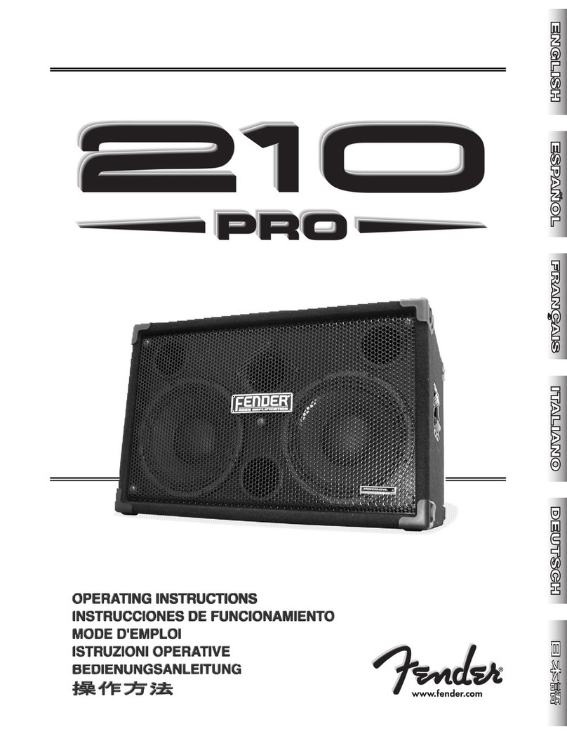 Fender 210 User manual
