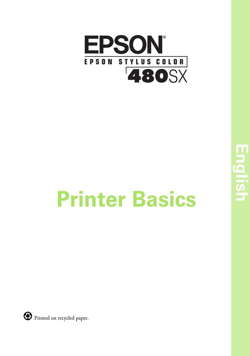 Epson 480SX Installation guide