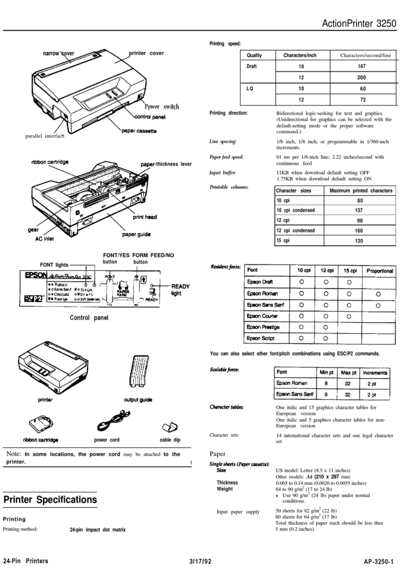 Epson ActionPrinter 3250 User manual