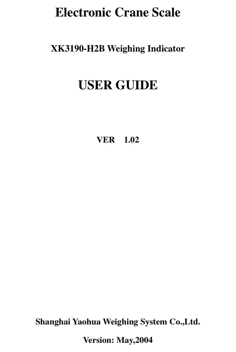 Yaohua Weighing System XK3190-H2B user guide