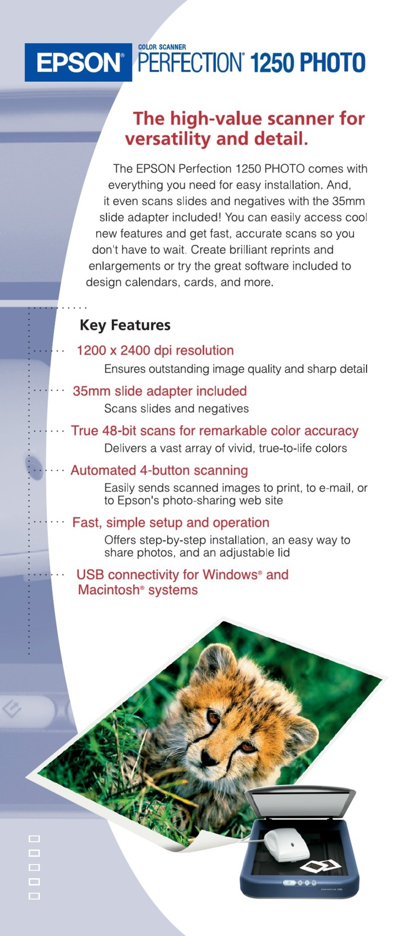 Epson Perfection 1250 Photo User manual