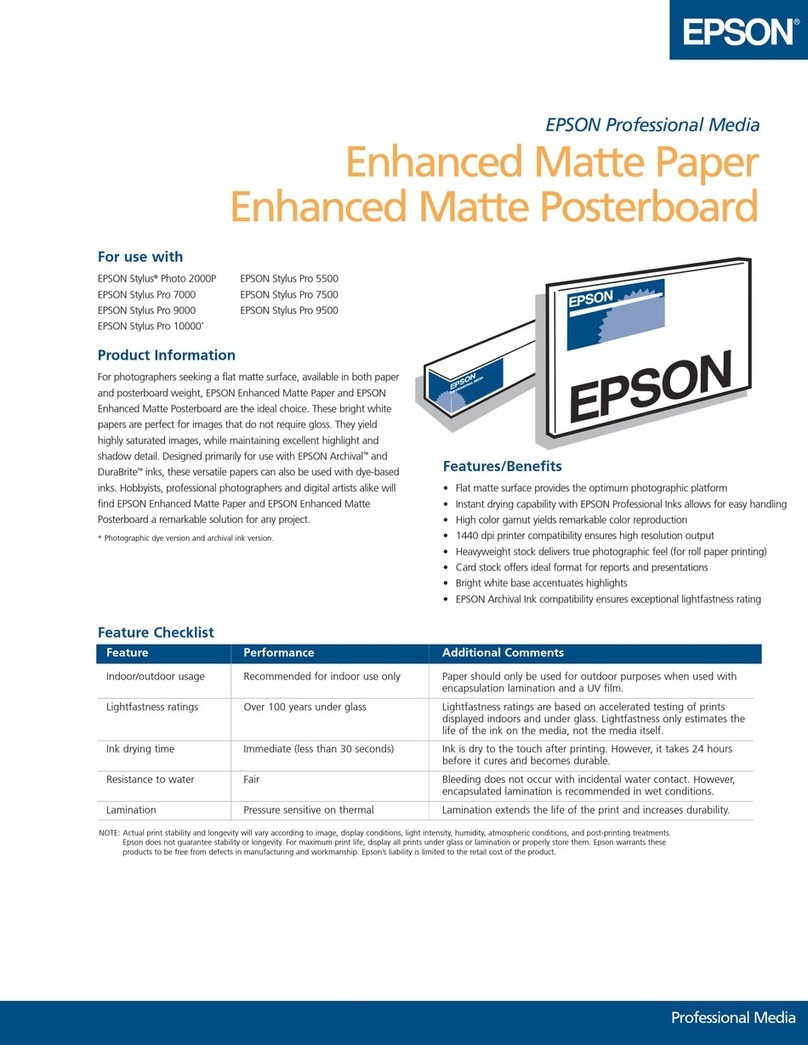 Epson S041339 User manual
