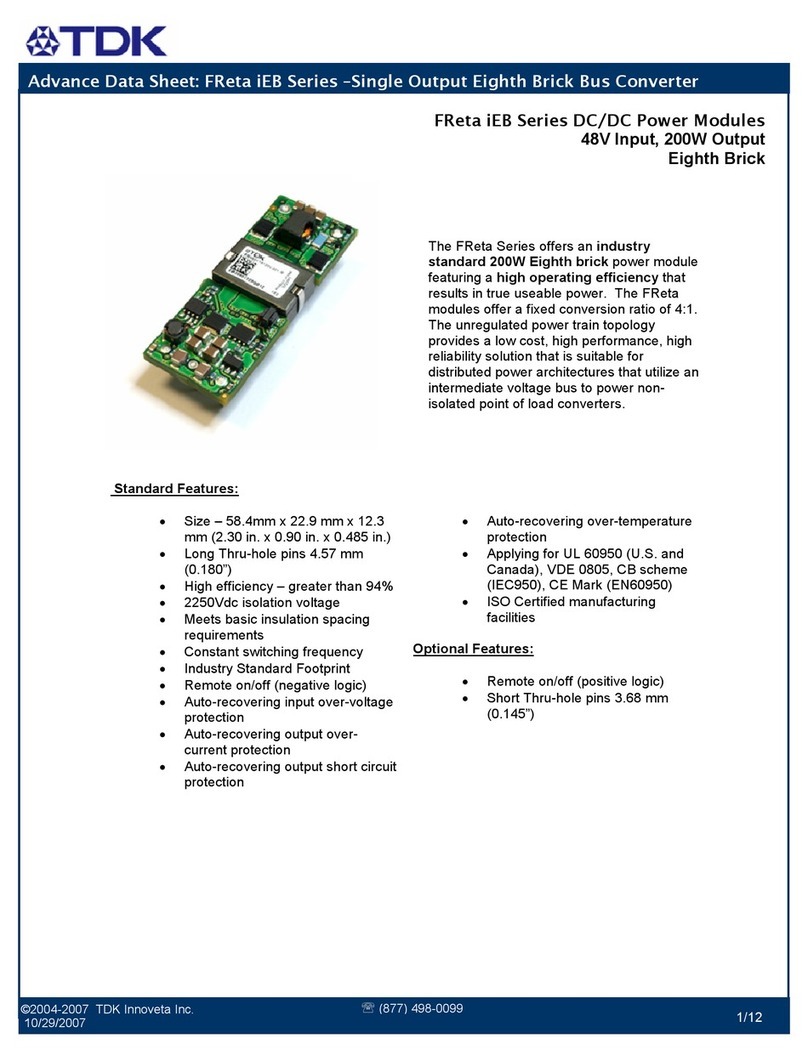 TDK FReta iEB Series User manual
