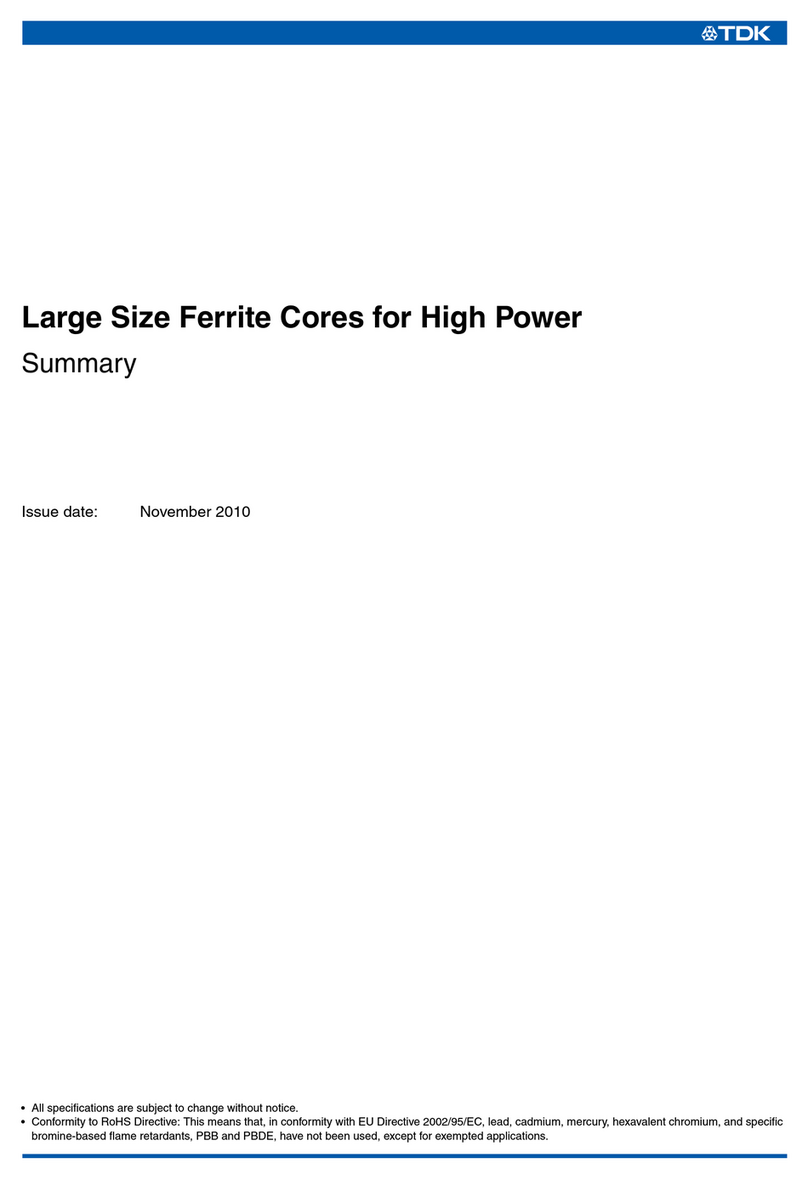 TDK Ferrites EE320x250x20 User manual