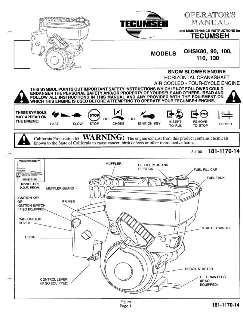 Tecumseh 100 User manual