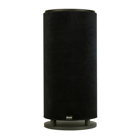 SV Sound PC12-NSD owner's guide
