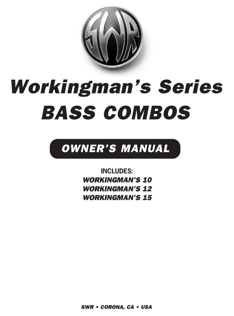 SWR WORKINGMAN'S 10 User manual
