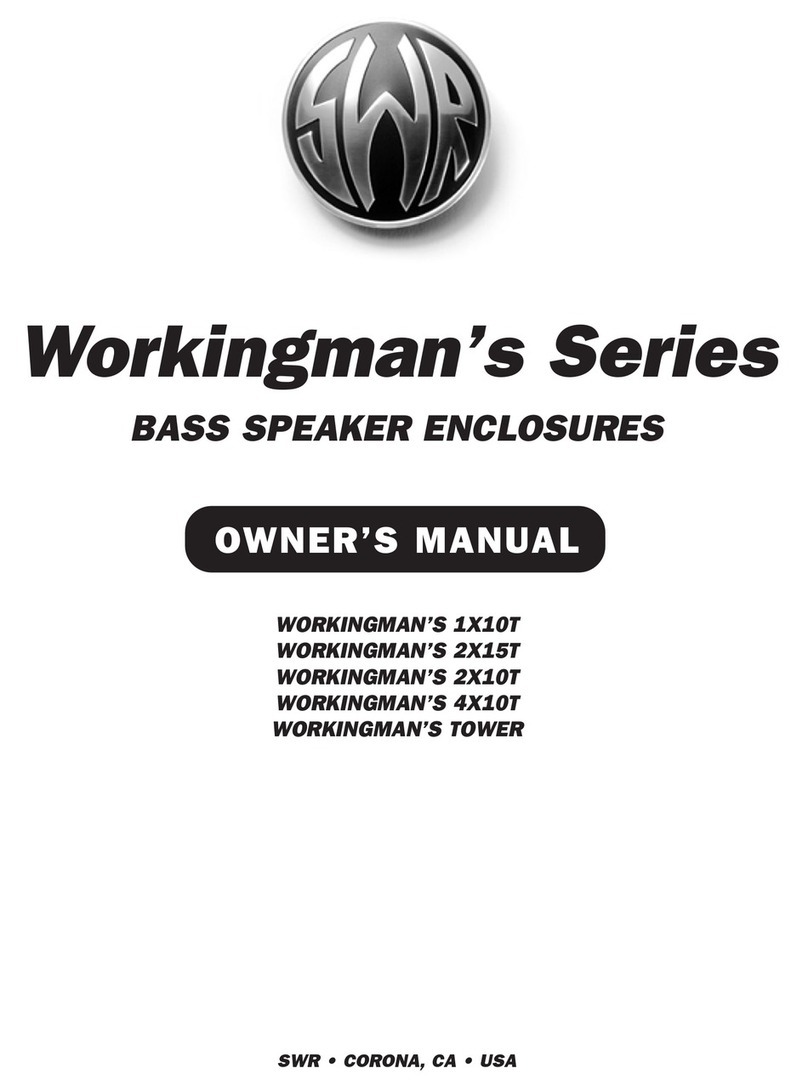 SWR WORKINGMAN'S 1X10T User manual