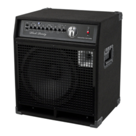 SWR Bass Combo Amplifier User manual