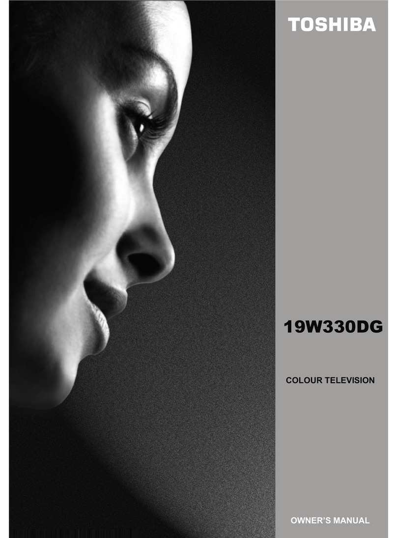 Toshiba 19W330DG User manual