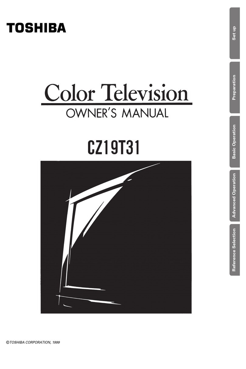 Toshiba CZ 19T31 User manual Toshiba CZ 19T31 User manual