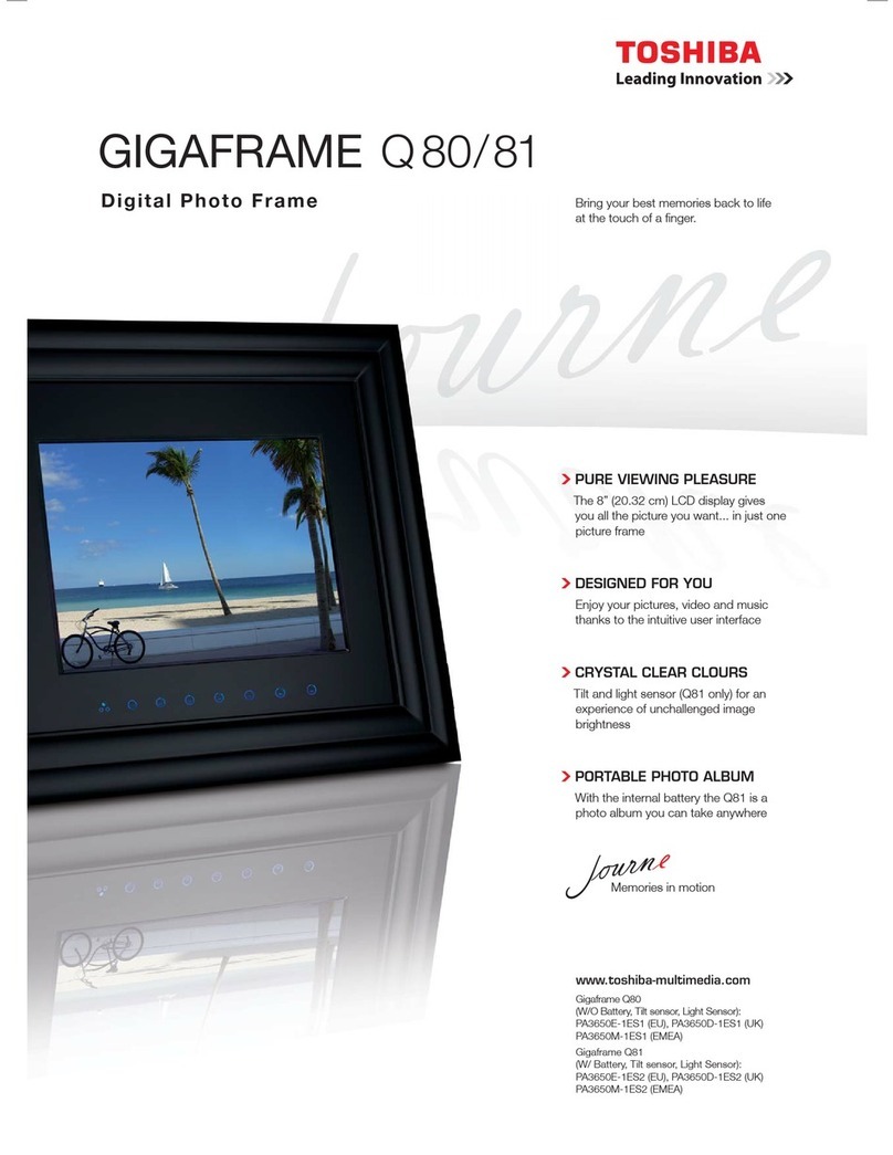 Toshiba GIGAFRAME Q81 Specifications