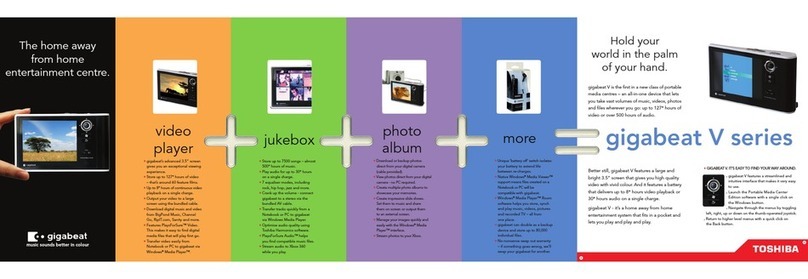 Toshiba V Series brochure