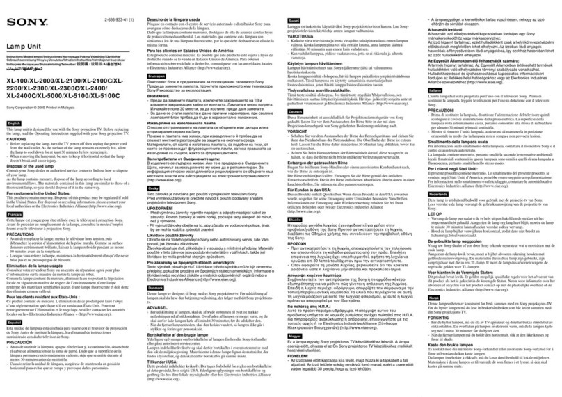 Sony XL-100 instructions