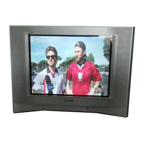 Sony FD TRINITRON WEGA KV-21FS120 User manual