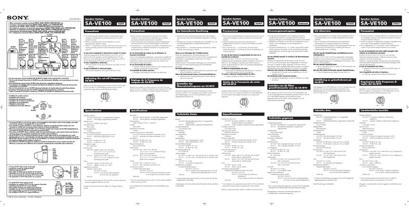 Sony SA-VE100 User manual