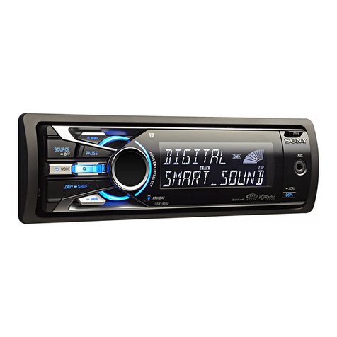 Sony DSX-S100 operating instructions
