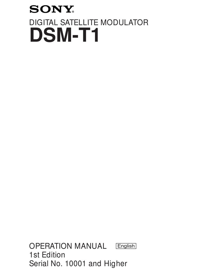 Sony DSM-T1 Operation manual
