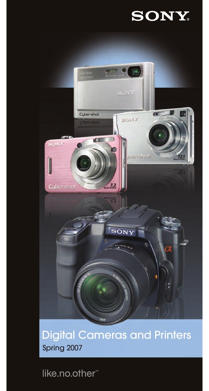 Sony Spring 2007 User manual