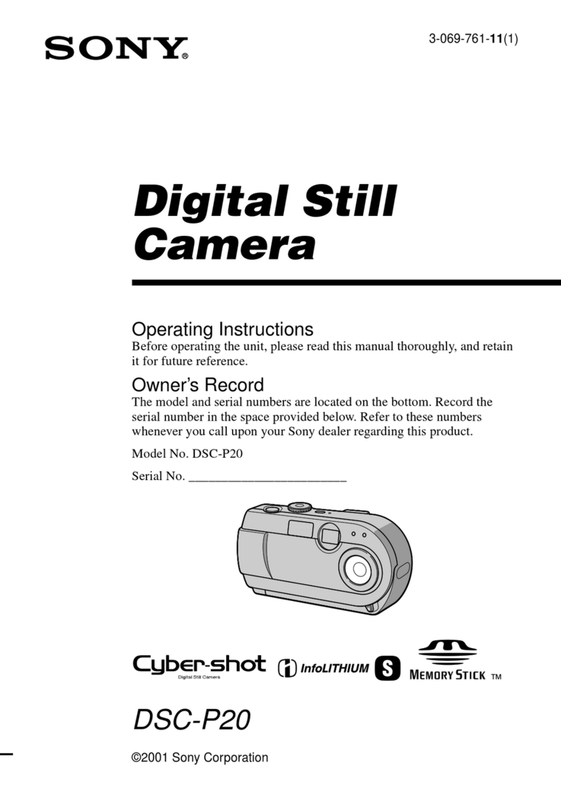 Sony Cyber-shot DSC-P20 User manual