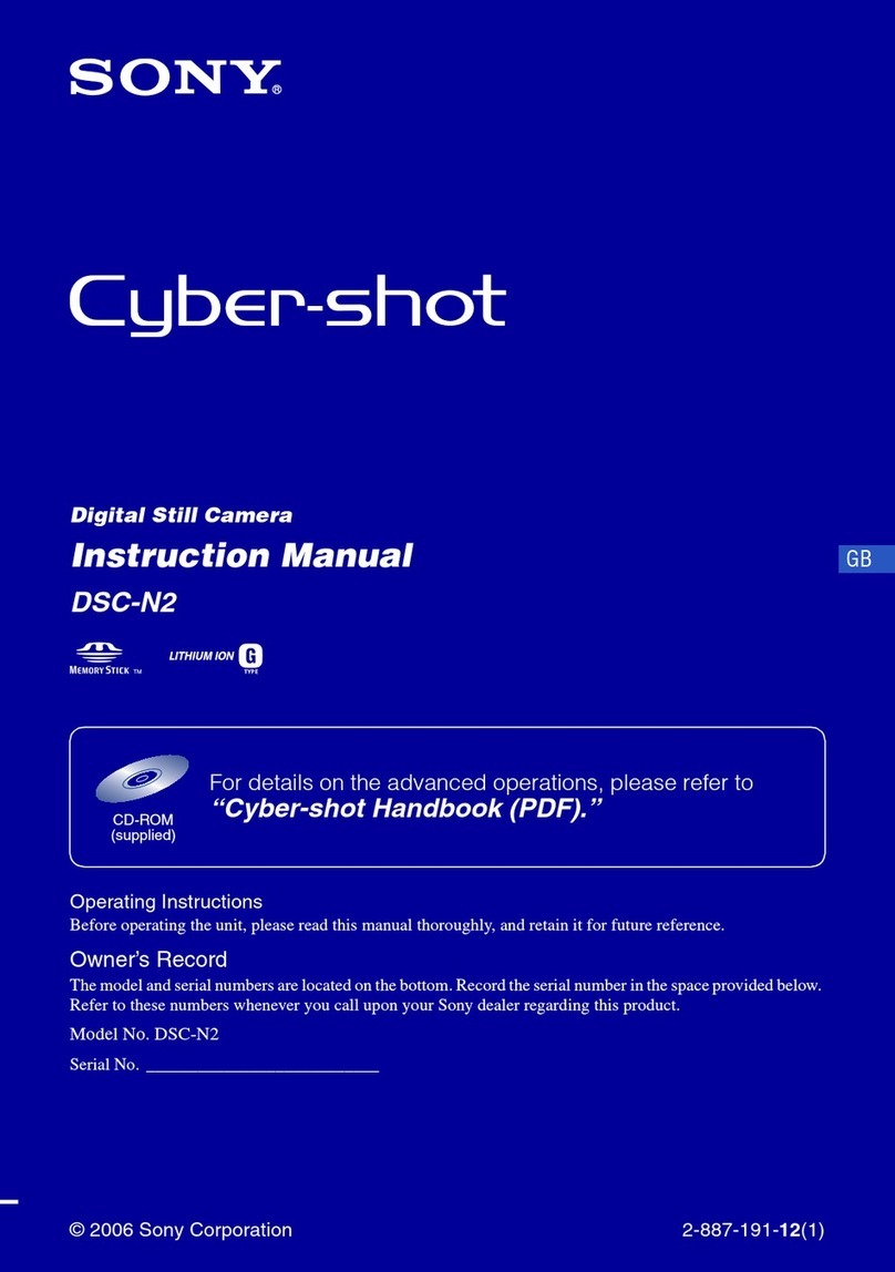 Sony Cyber-shot DSC-N2 User manual