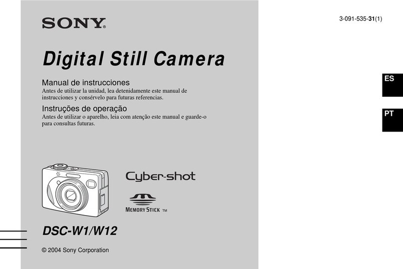 Sony CYBER-SHOT DSC-W1 Setup guide