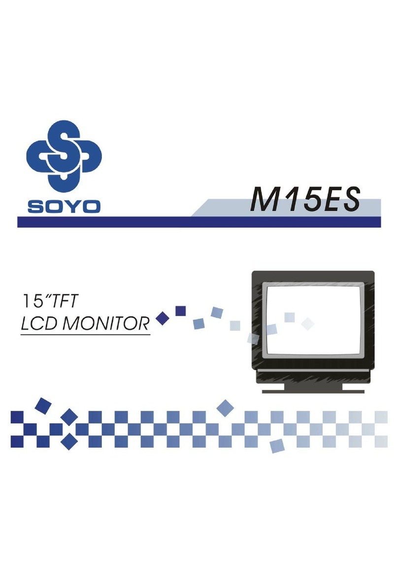 SOYO M15ES User manual