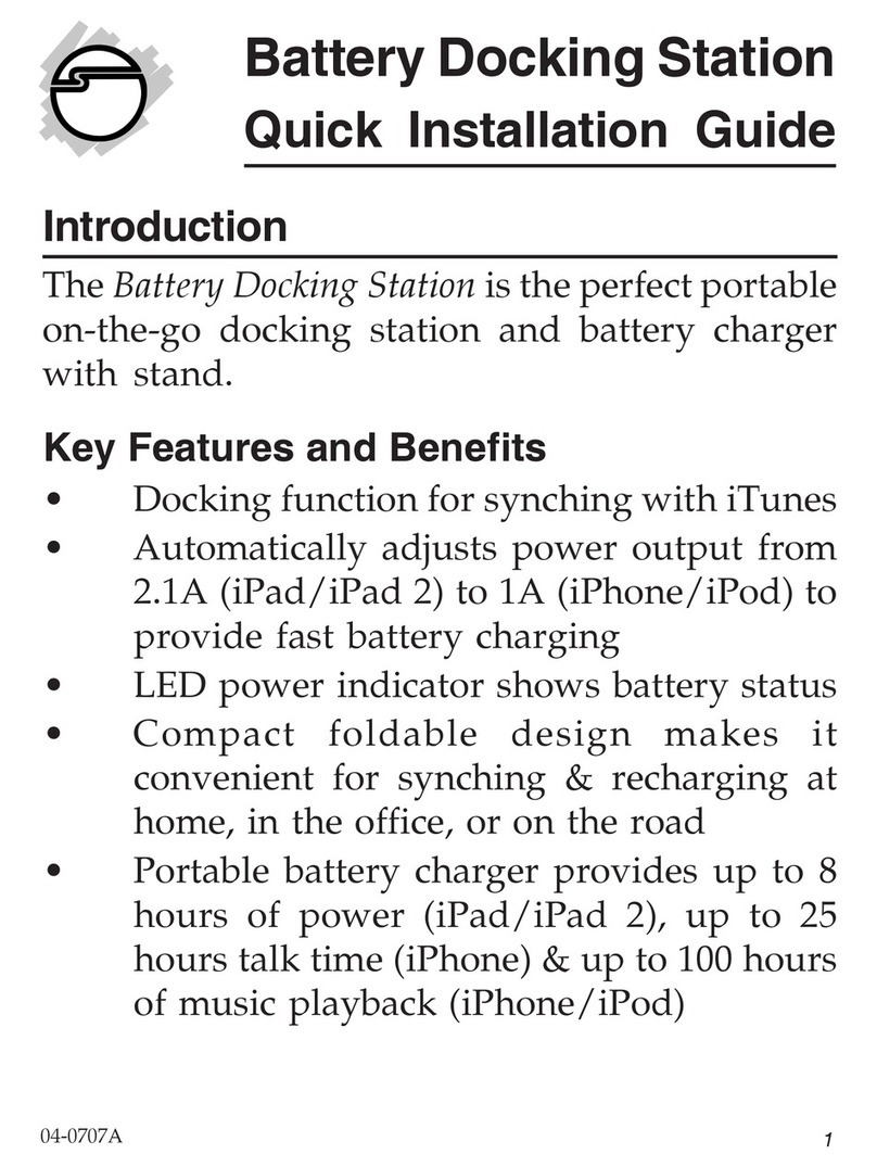 SIIG Automobile Battery Charger User manual