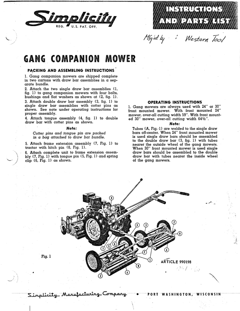 Simplicity 990198 Datasheet