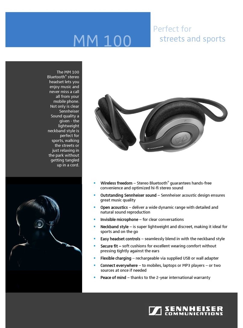 Sennheiser MM 100 Specification sheet