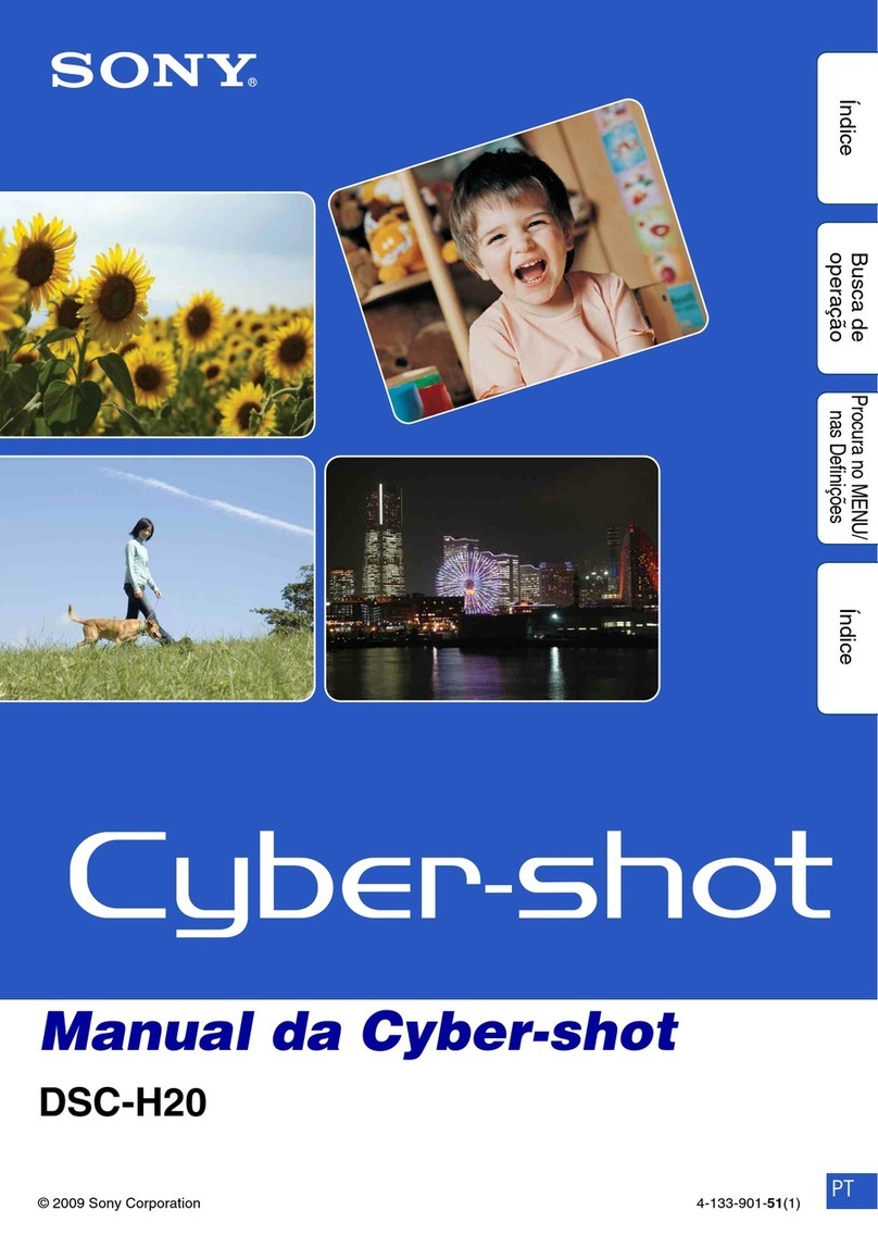 Sony Cyber-shot DSC-H20 User manual