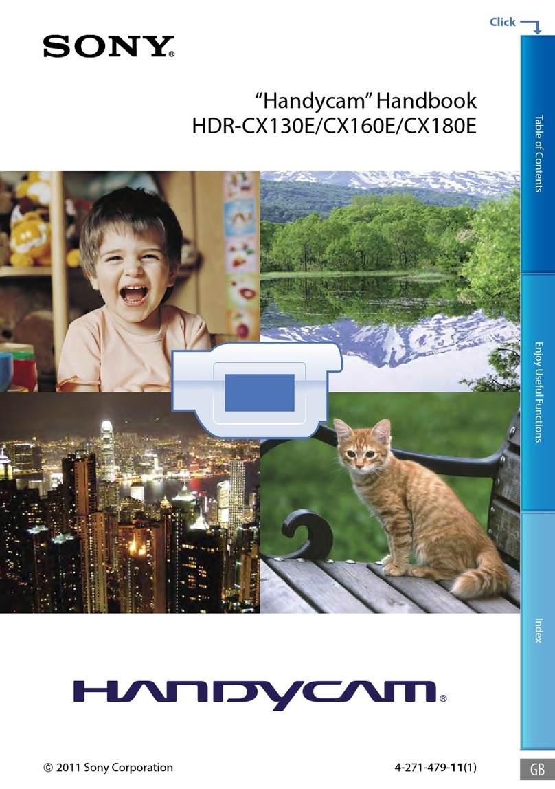 Sony Handycam HDR-CX160E User manual